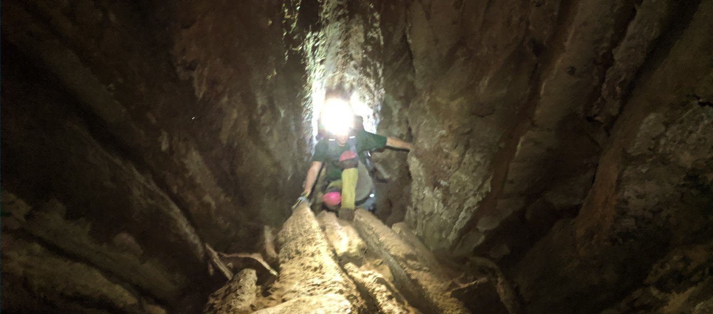 Membership Information Header Image